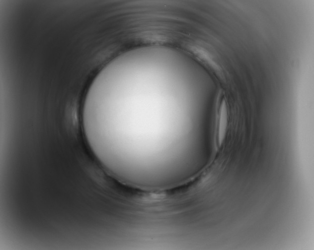 X0000089890398200707192018