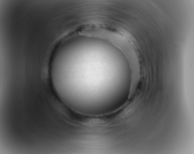 X0000089890399200707192018