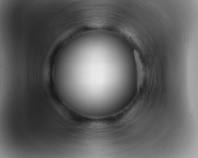 X0000089890400200707192018