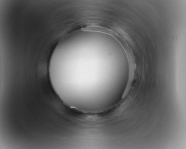 X0000089890401200707192018