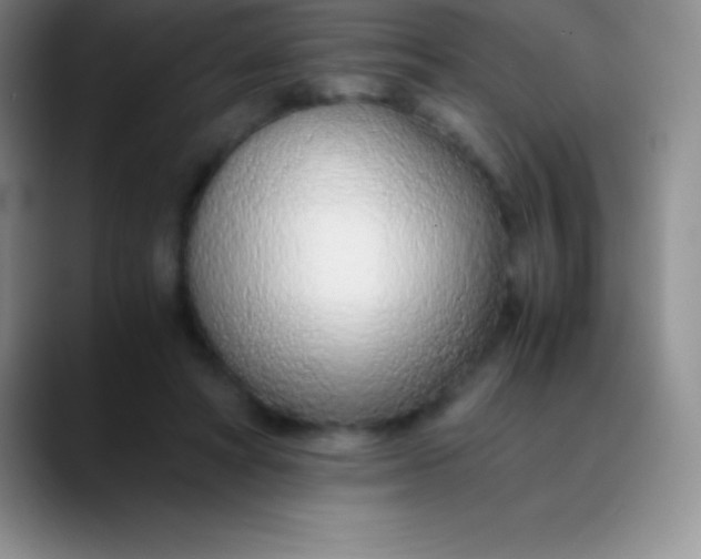 X0000089890402200707192018