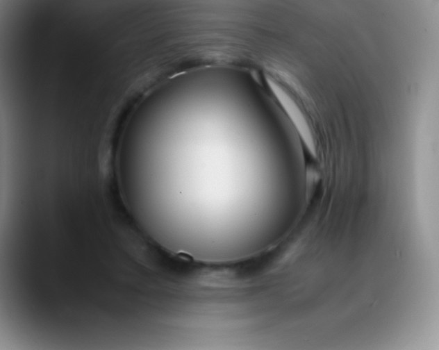 X0000089890403200707192018