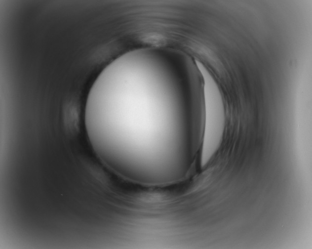 X0000089890404200707192018