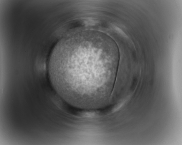 X0000089890405200707192018