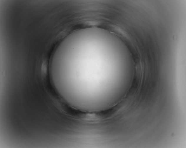 X0000089890406200707192018