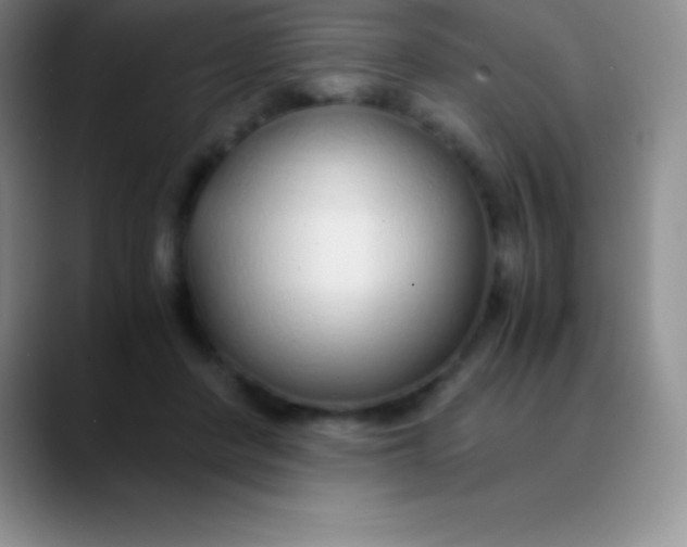 X0000089890408200707192018