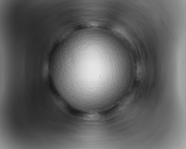 X0000089890410200707192018