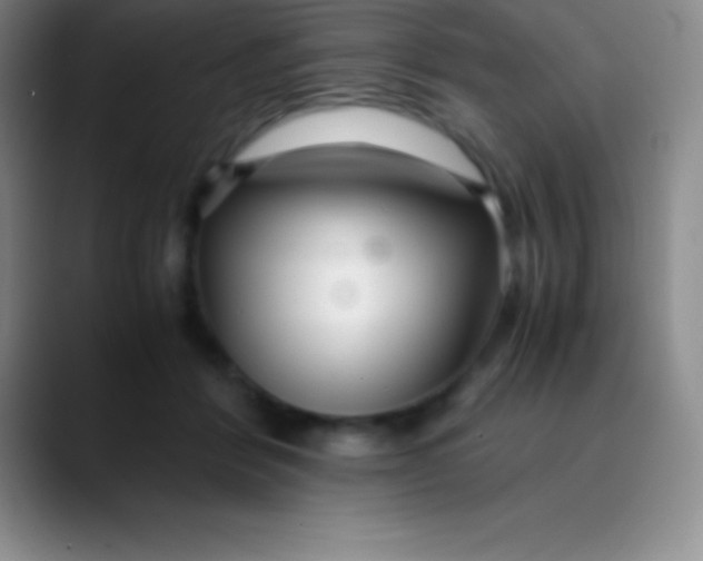 X0000089890412200707192018