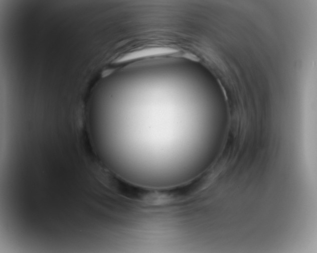 X0000089890413200707192018