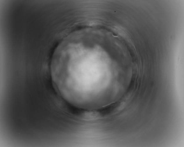 X0000089890415200707192018