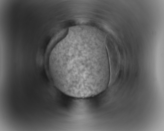 X0000089890417200707192018