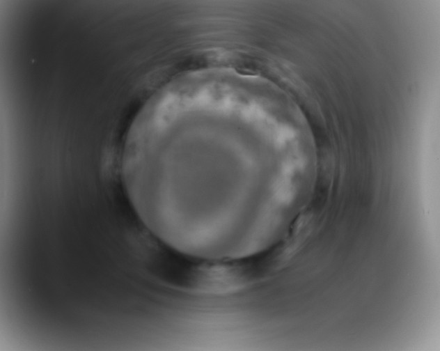 X0000089890419200707192018