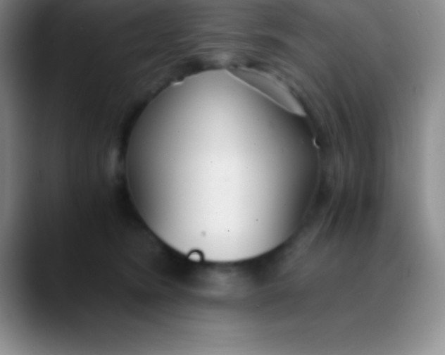 X0000089890420200707192018