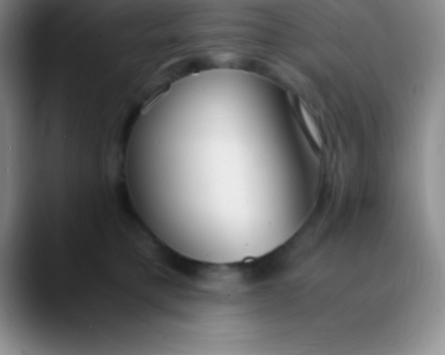 X0000089890421200707192018