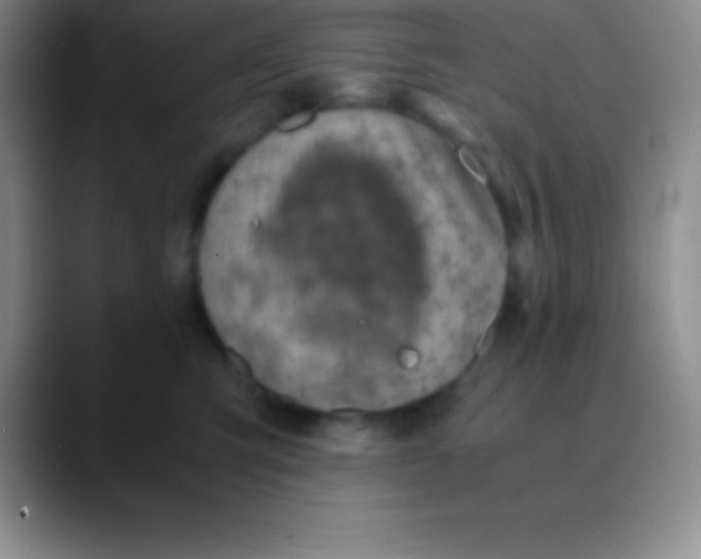 X0000089890423200707192018