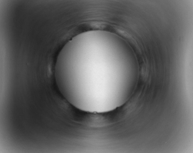 X0000089890424200707192018