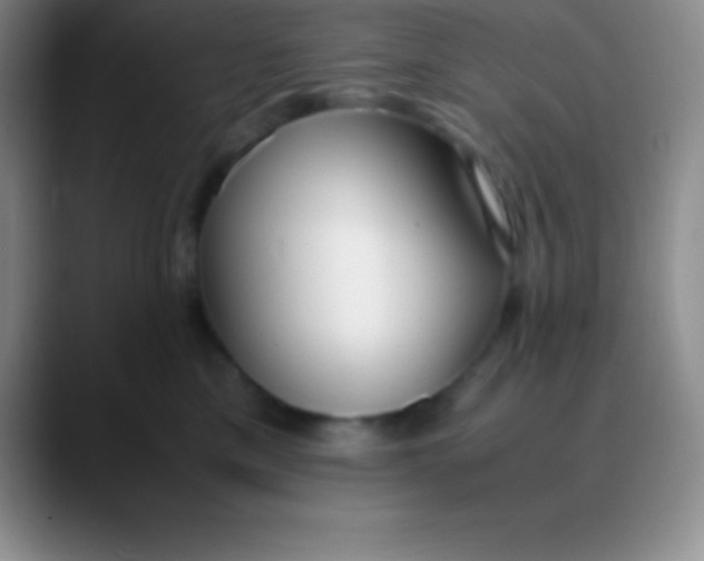 X0000089890425200707192018