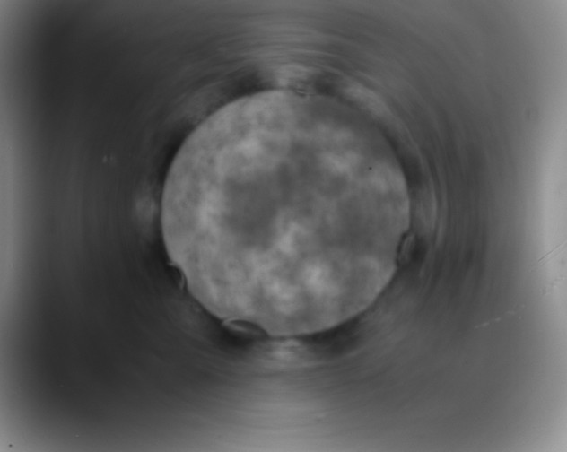 X0000089890427200707192018