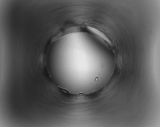 X0000089890428200707192018