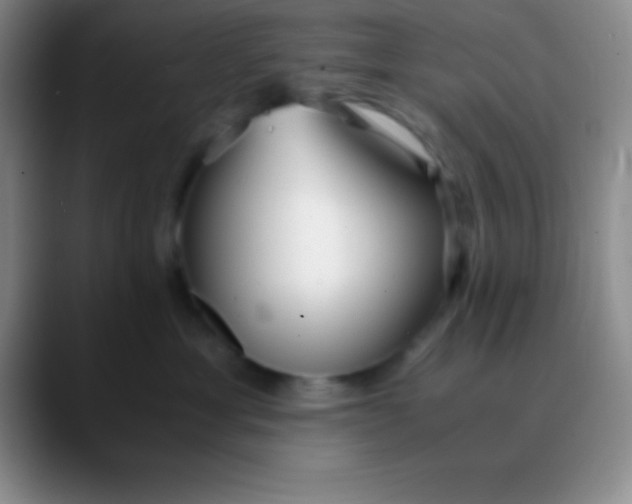 X0000089890429200707192018