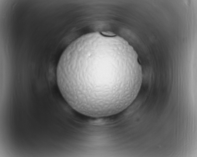 X0000089890430200707192018