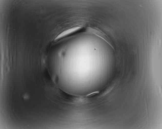 X0000089890432200707192018