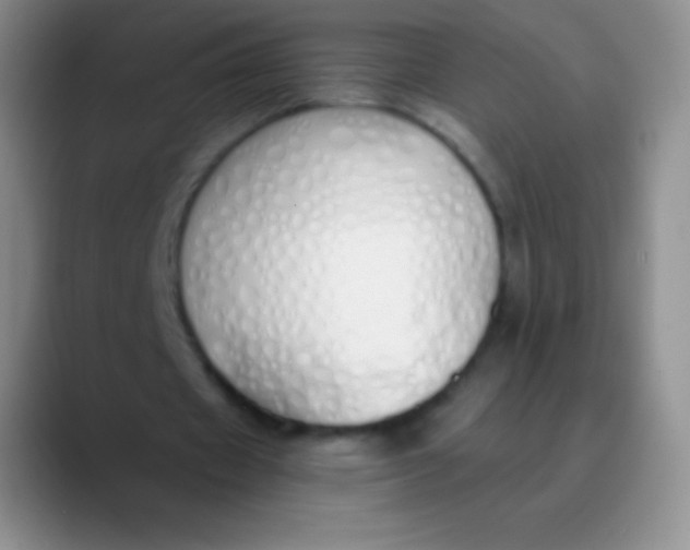 X0000089890433200707192017