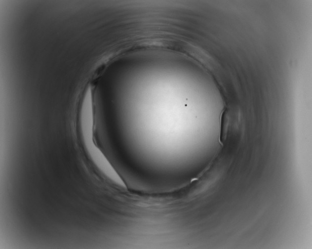 X0000089890434200707192017