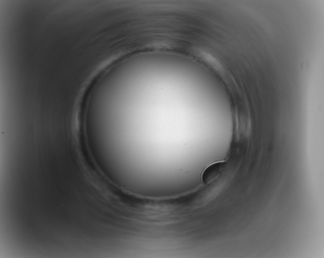 X0000089890435200707192017