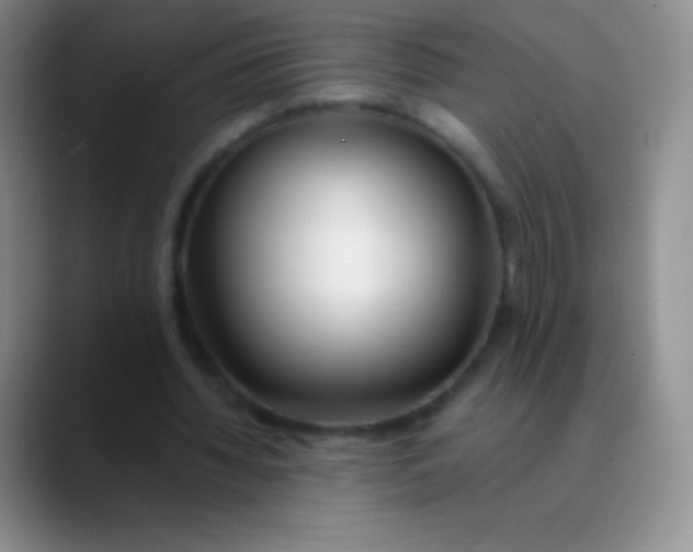 X0000089890436200707192017