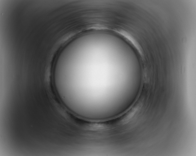 X0000089890437200707192017