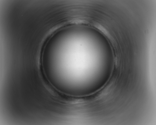 X0000089890438200707192017