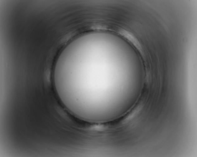 X0000089890441200707192017