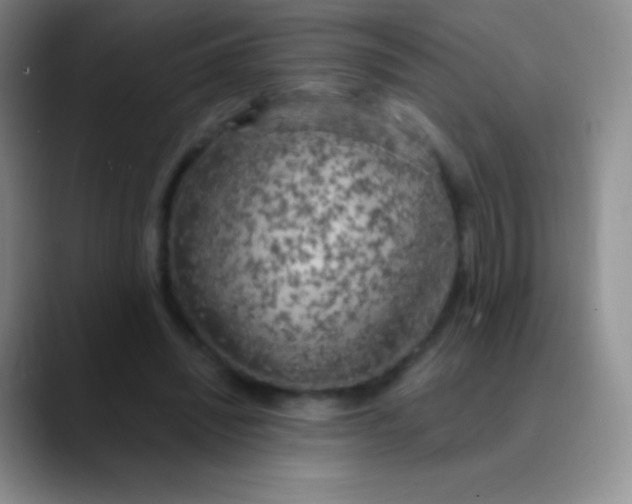 X0000089890444200707192017