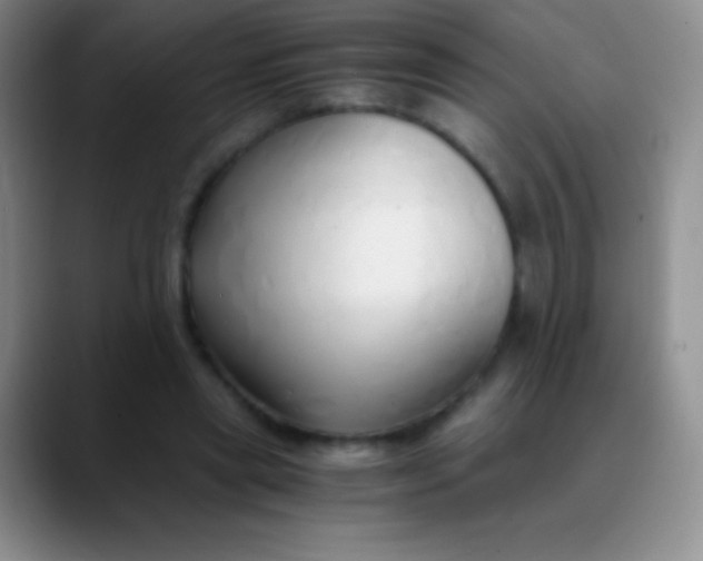 X0000089890445200707192017