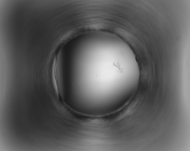 X0000089890446200707192017