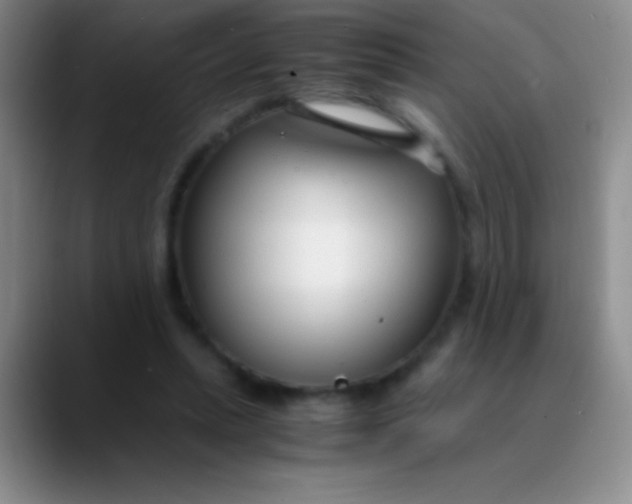 X0000089890447200707192017