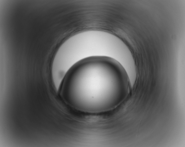 X0000089890448200707192017