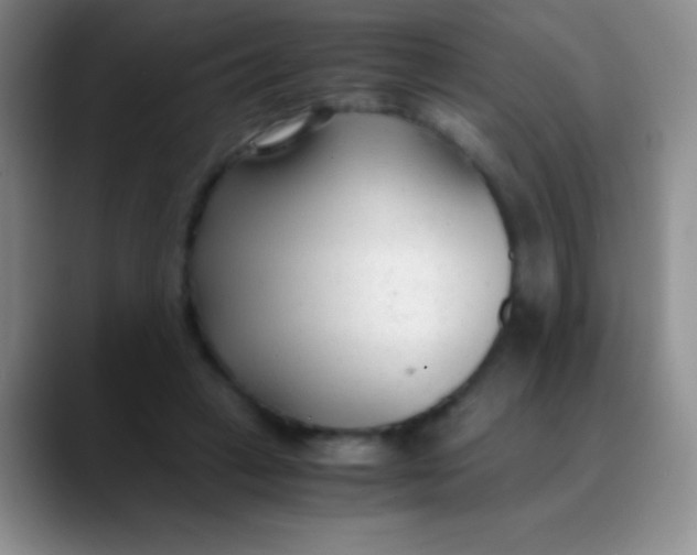 X0000089890449200707192017