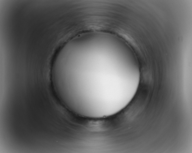 X0000089890450200707192017