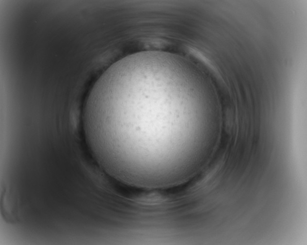 X0000089890451200707192017