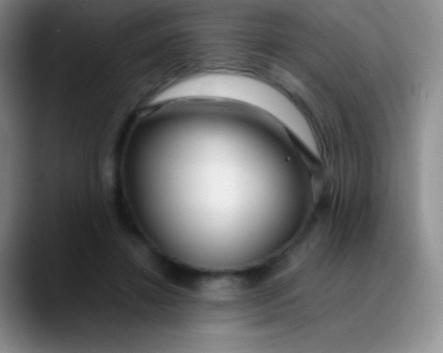 X0000089890452200707192017