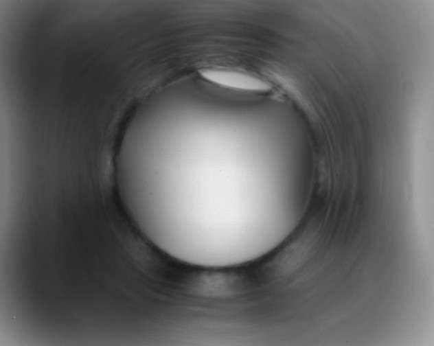 X0000089890453200707192017