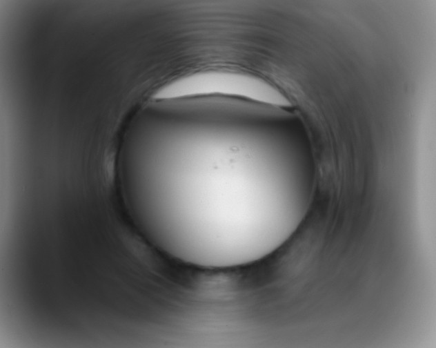 X0000089890454200707192017