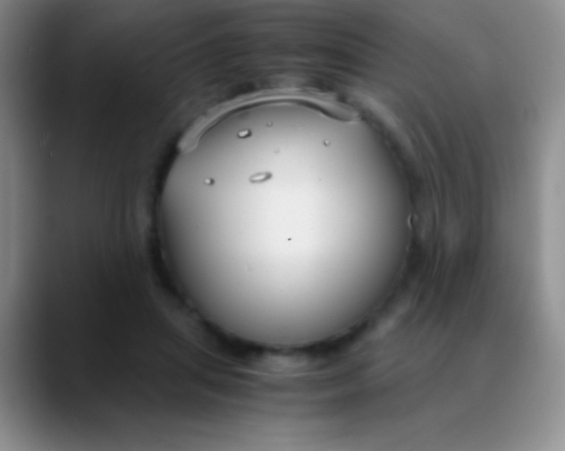 X0000089890455200707192017