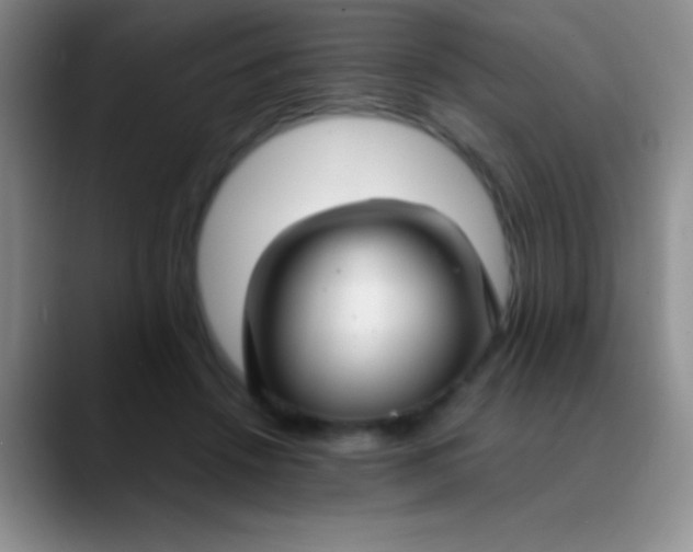 X0000089890456200707192017