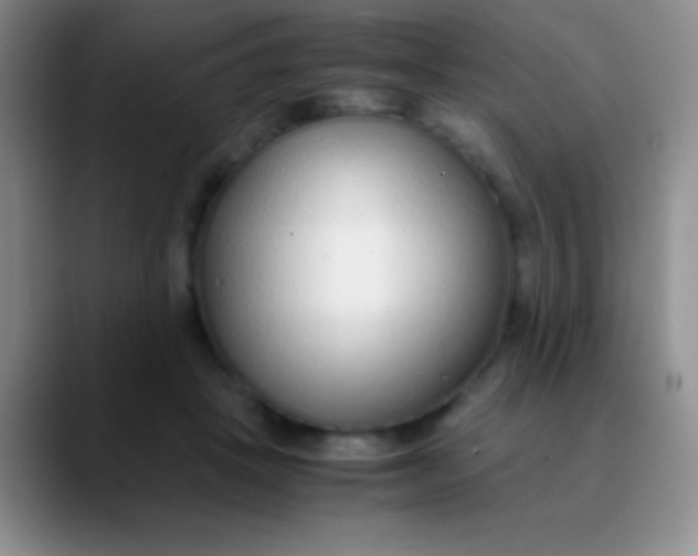 X0000089890457200707192017