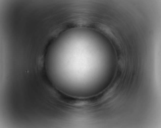 X0000089890458200707192017