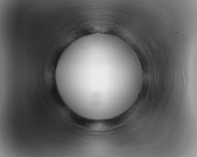 X0000089890460200707192017