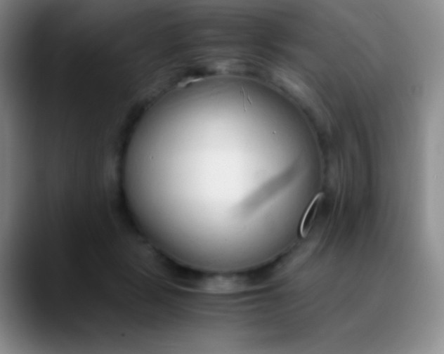 X0000089890461200707192017